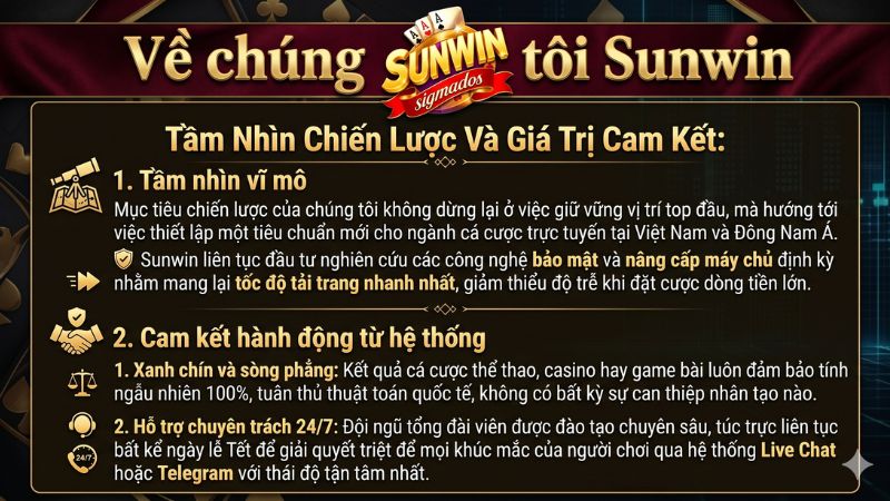 Tầm nhìn phát triển và cam kết hỗ trợ khách hàng chuyên nghiệp 24/7 của đội ngũ Sunwin